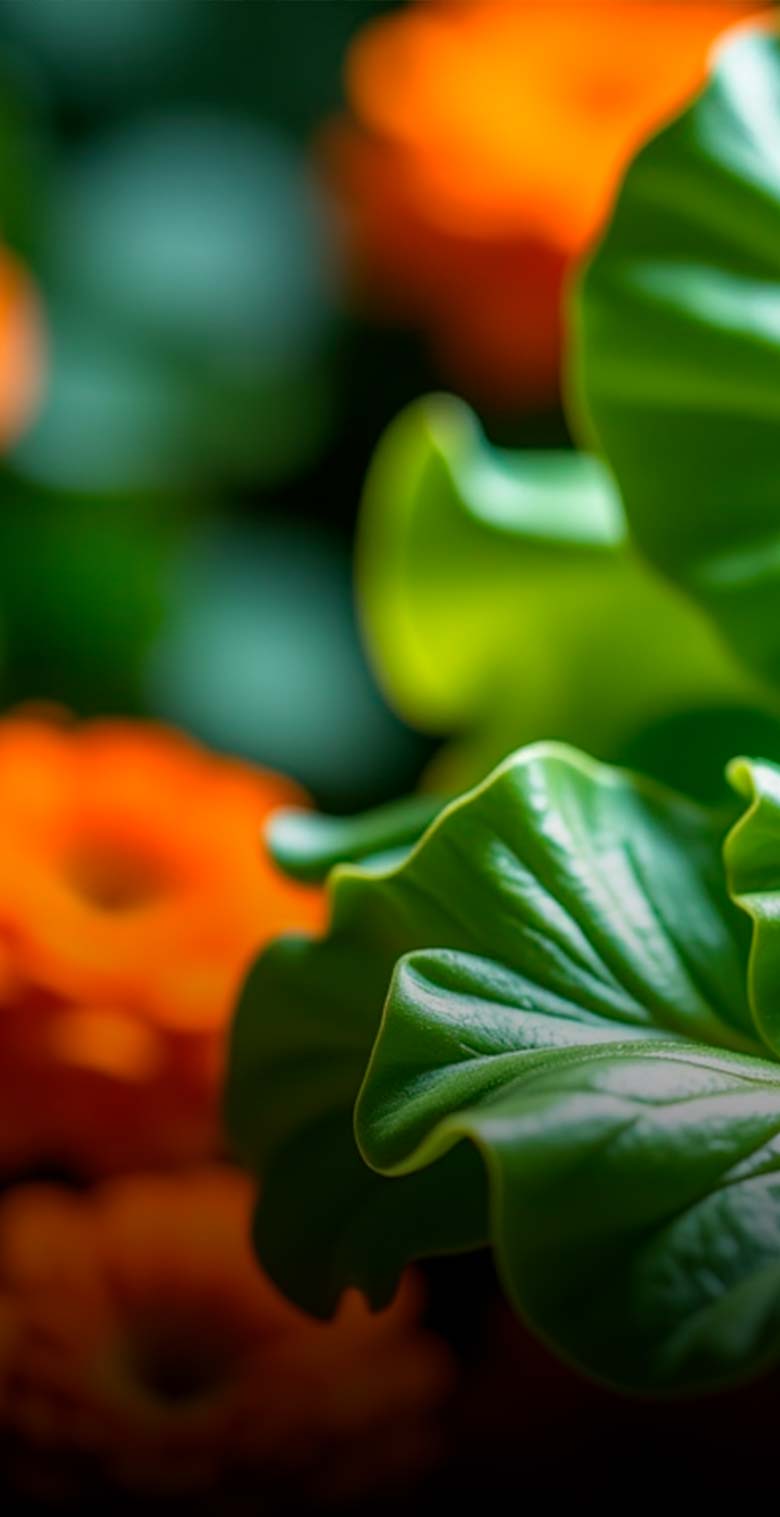 Фрукты и овощи оптом